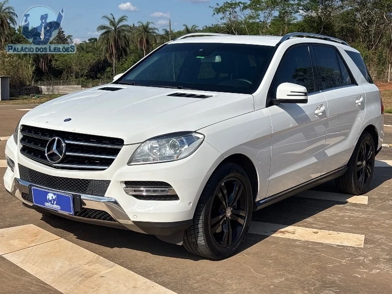 Imagem do lote