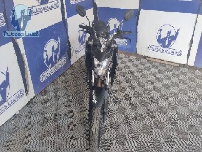 Foto lote 8